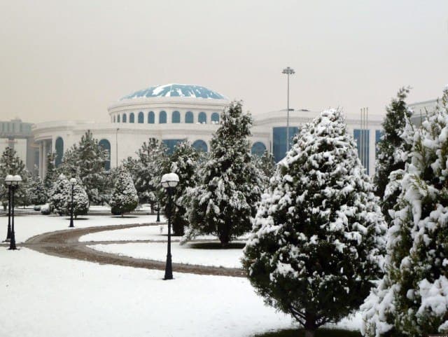 Чанг тўзон, ёмғир ва қорли об-ҳаво кутиляпти – Ўзгидромет