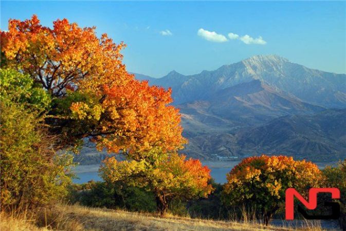 Ўзбекистонда дам олиш кунлари қандай об-ҳаво кузатилиши маълум қилинди