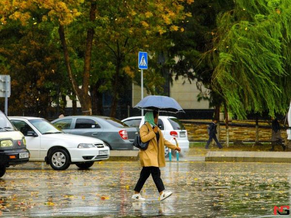 Ўзбекистонда ҳафта давомида кузатиладиган об-ҳаво маълум қилинди