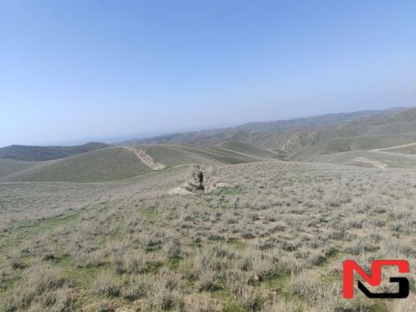 Навоийдаги “Темирчи” олтин кони 67,7 млрд сўмга сотилди