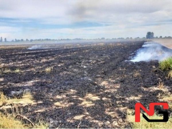 Ўзбекистонда 1,6 минг гектар ер ёқиб юборилди