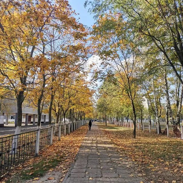 Бугун Ўзбекистонда об-ҳаво қандай бўлади?
