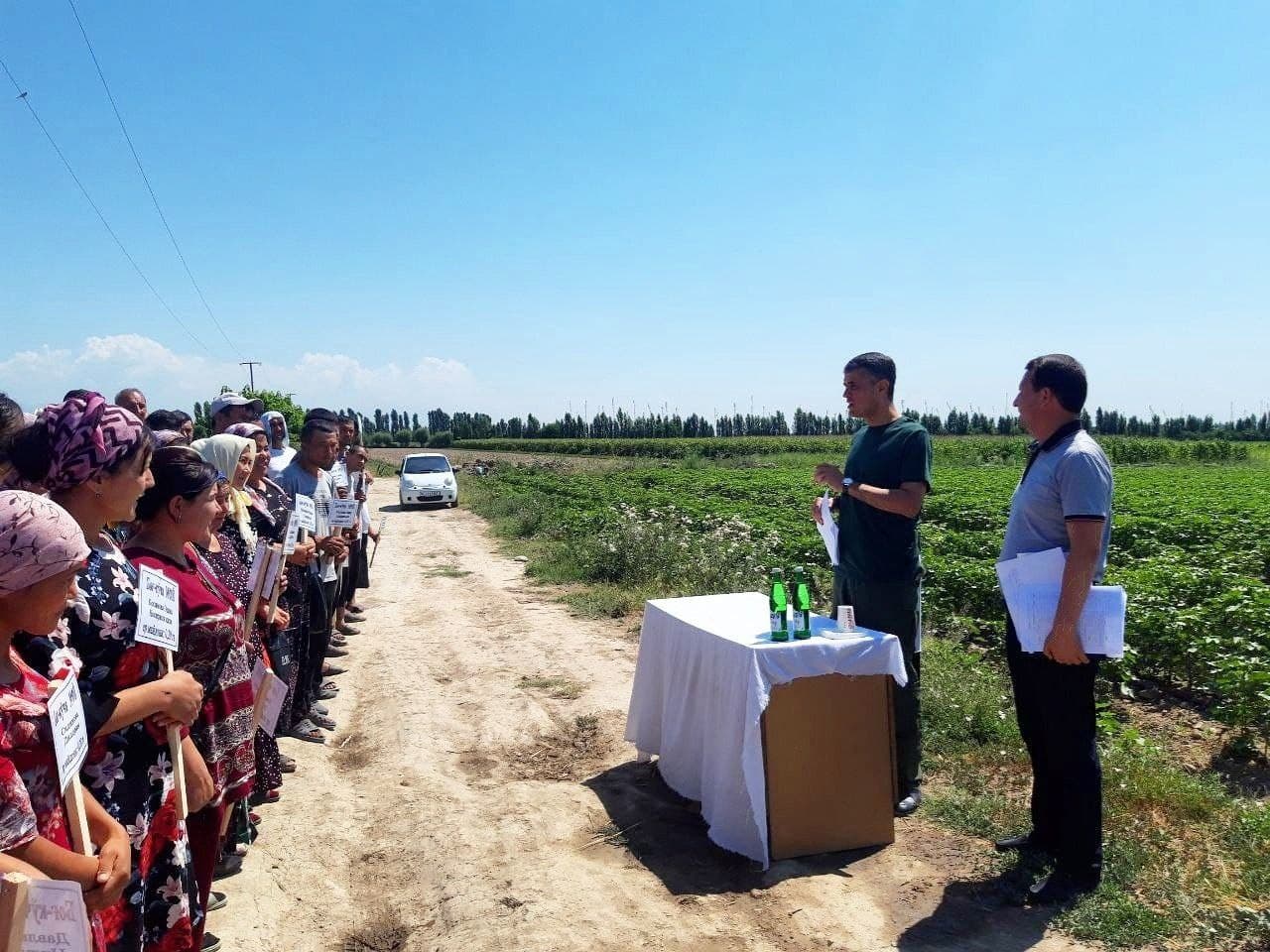 Учқўрғон туманида фуқароларга экин экиш учун ер ажратиб берилмоқда