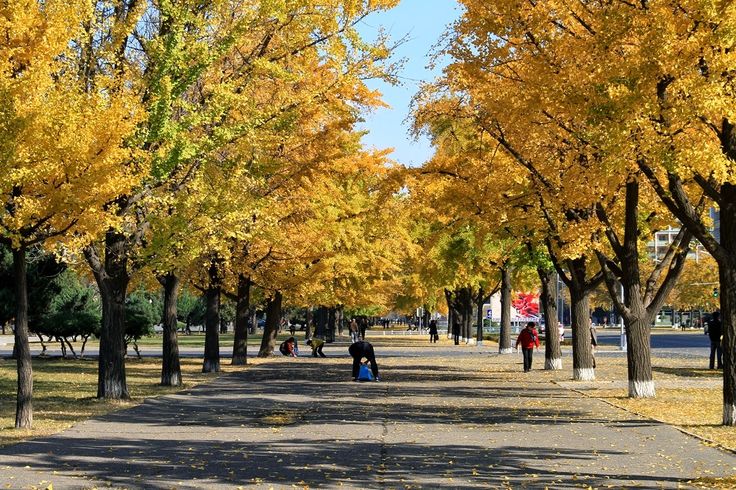 Йилнинг сўнгги кунида қандай об-ҳаво кузатилади?