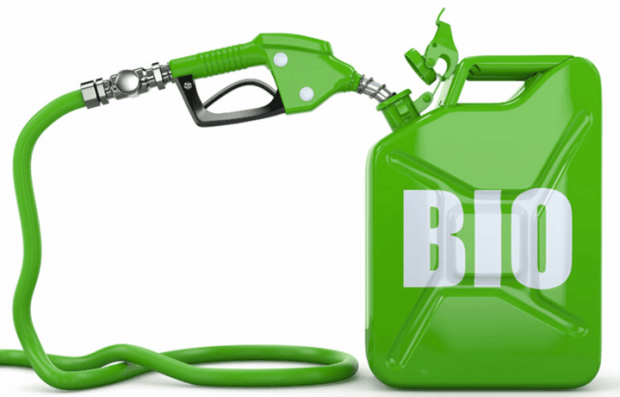 Янги турдаги биоёнилғи яртилди