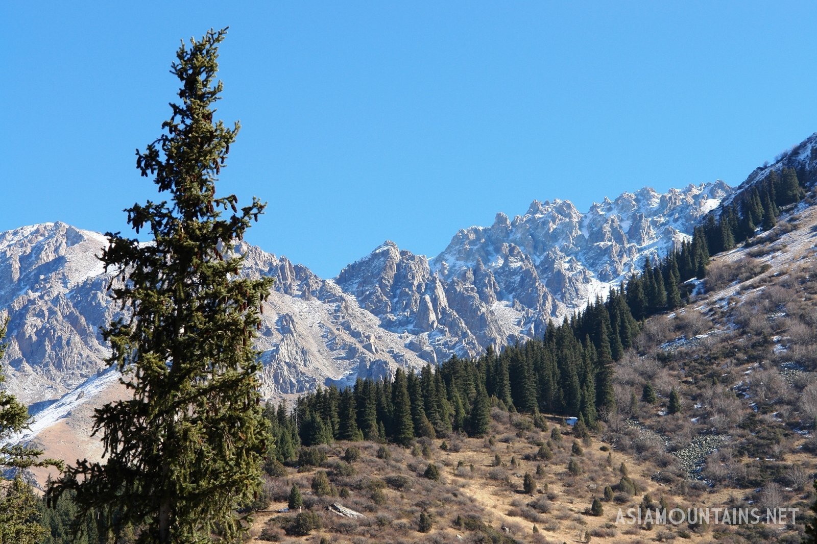 Ўзбекистонда қишнинг дастлабки кунларида аномал илиқ бўлиши кутилмоқда