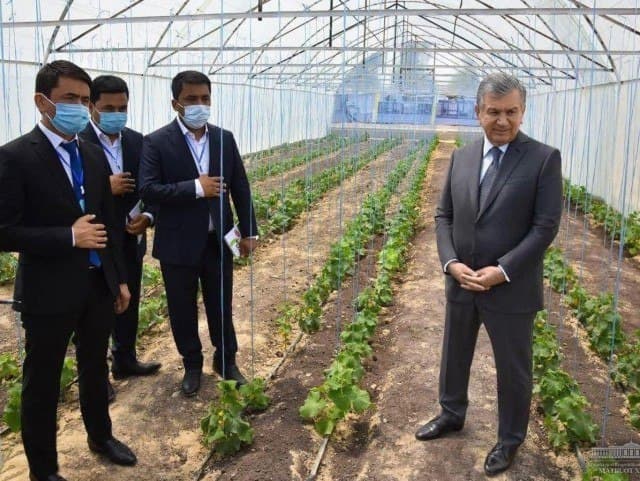 Энди тадбиркорлик учун берилган ерлар хусусийлаштирилиши мумкин