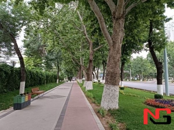 Дам олиш кунлари об-ҳаво қандай бўлади?