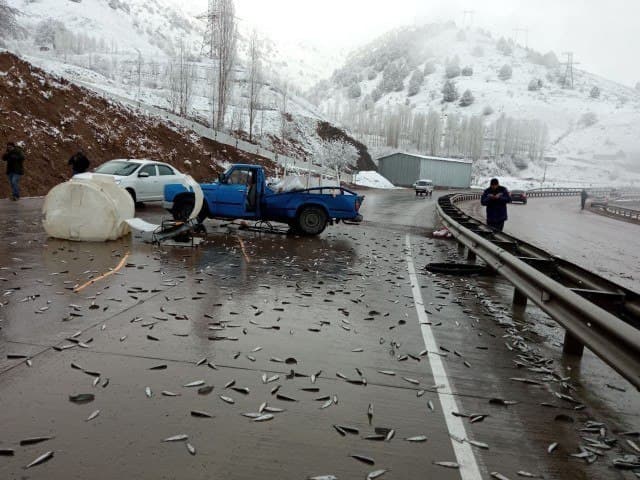 Қамчиқдаги “балиқ ёмғири”га изоҳ берилди