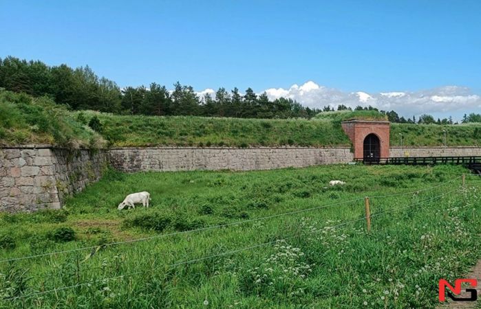 Финландияда руслар қурган қалъа 1 еврога сотилди