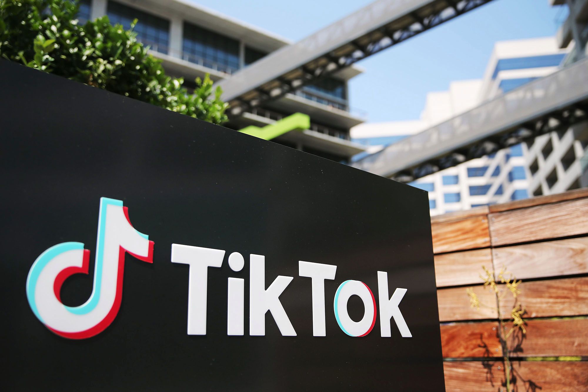 Россиядаги университетларнинг бирида TikTok факультети очилиши мумкин