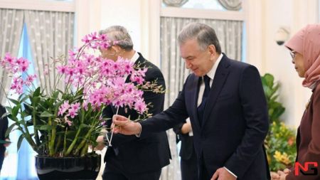 Сингапурда янги турдаги орхидеяга "Шавкат Мирзиёев орхидеяси" номи берилди