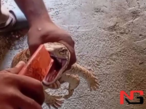 Эчкиэмарга нос чектирган йигит жазоланди