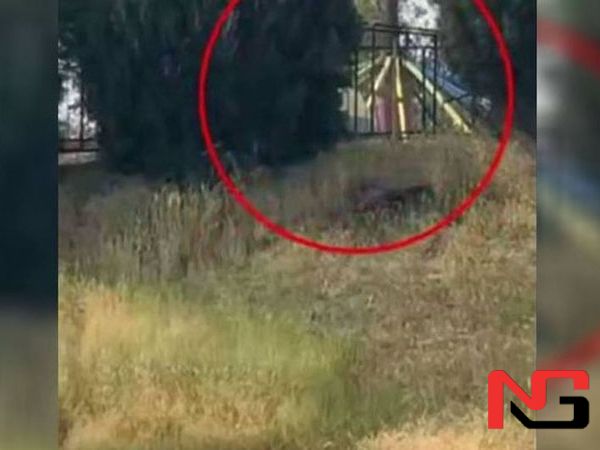 Андижонда аттракцион қулаб тушди. Жароҳатланганлар бор