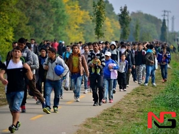 ЕИда мигрантлар сони рекорд даражада кўпайди