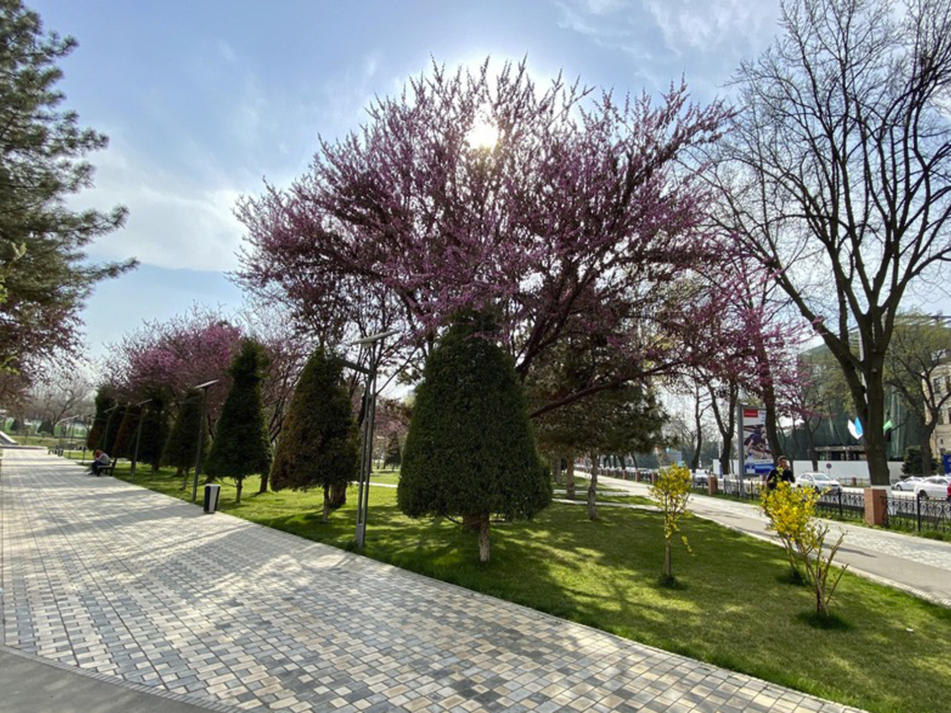 Бугундан ҳаво илий бошлайди