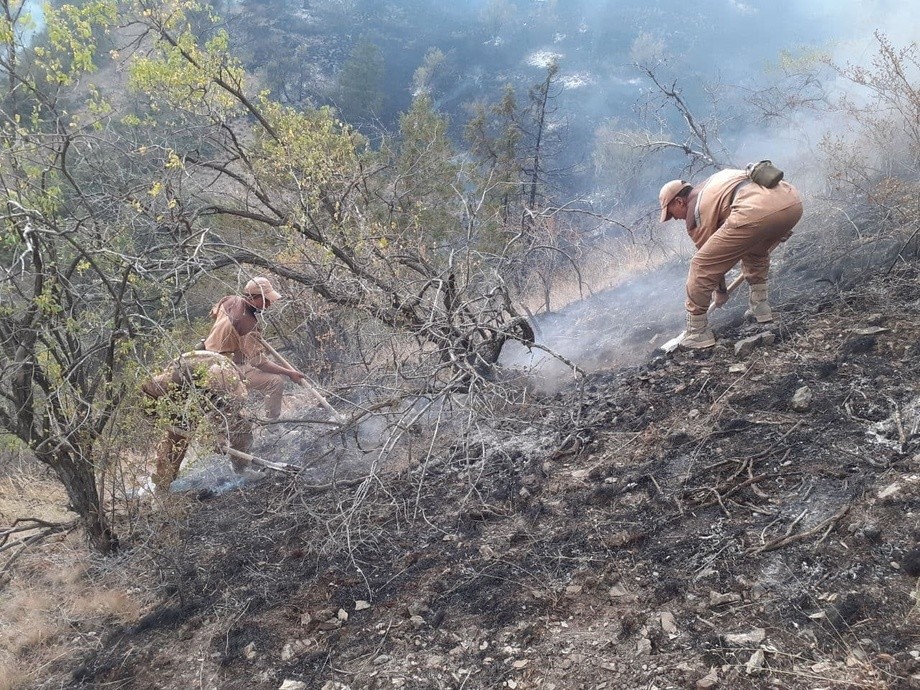 Ноинсоф бойваччанинг ўғлига «иш» очилдими?