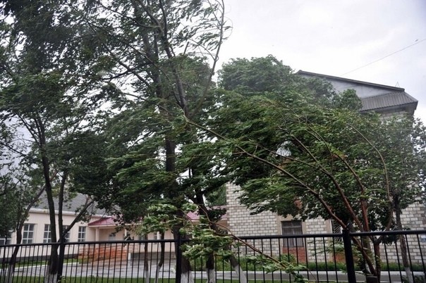 Эртага айрим ҳудудларда кучли шамол кузатилади