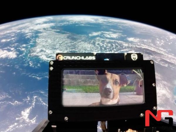 NASA муҳандиси бепул космик селфи хизматини ишга туширди