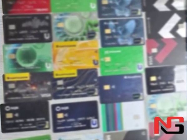 MyGov сайтини сохталаштириб, 456 кишининг пулини ўмарганлар ушланди