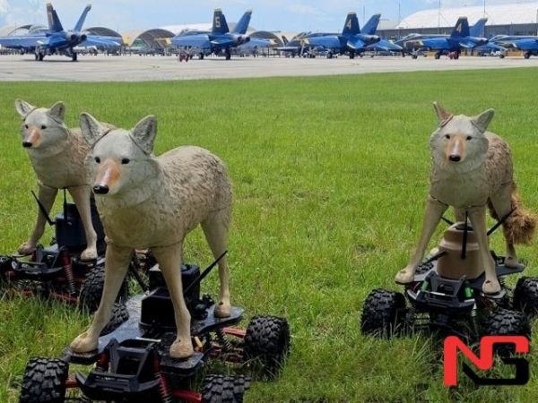 АҚШ аэродромларини энди “бўрилар” қўриқлайди