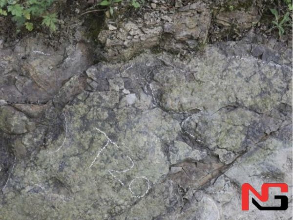 Хитойдан 200 млн йиллик динозавр излари топилди