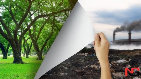 “Экополиция”: табиатга зарар етказганларга энди кечирим йўқ