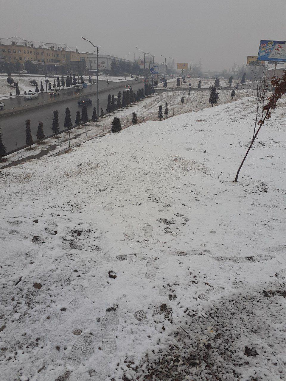 Бугун Наманган шаҳрида қор ёғди