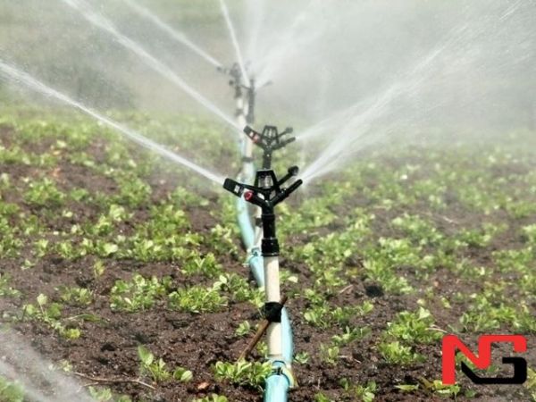 Ўзбекистон суғориш тизимини модернизация қилиш учун 250 млн доллар қарз олади