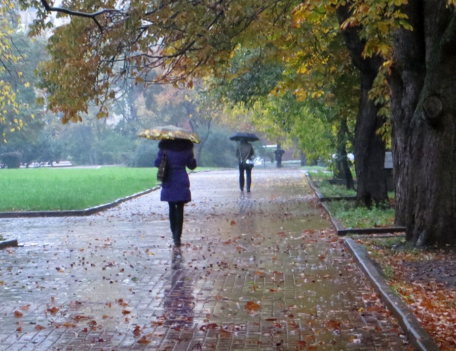 Замечательная прогулка. Холодная дождливая осень. Осень дождь. Пасмурный осенний день в городе. Осенний дождливый парк.