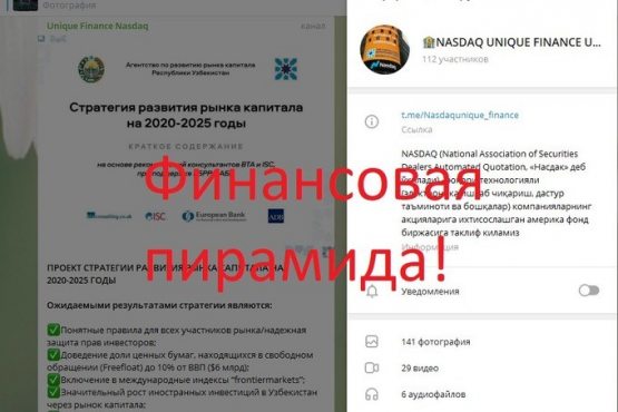 Ўзбекистонда Telegram орқали фаолият олиб борган молиявий пирамида фош этилди