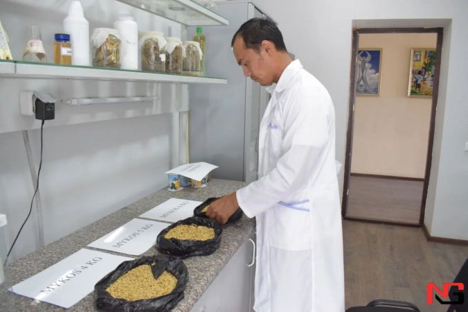 Энди қурғоқчил ерда ҳам шоли етиштирилиши мумкин