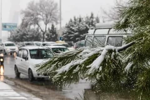 Дам олиш куни қор ёғиши кутилмоқда