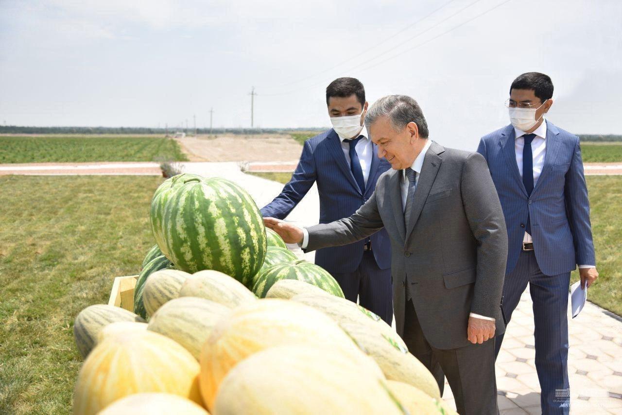 Президент Наманганга ташрифини Поп туманидан бошлади
