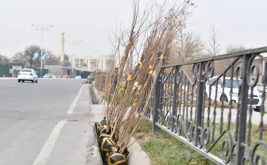 Cиз фақат Мирзиёевнигина алдамаяпсиз…