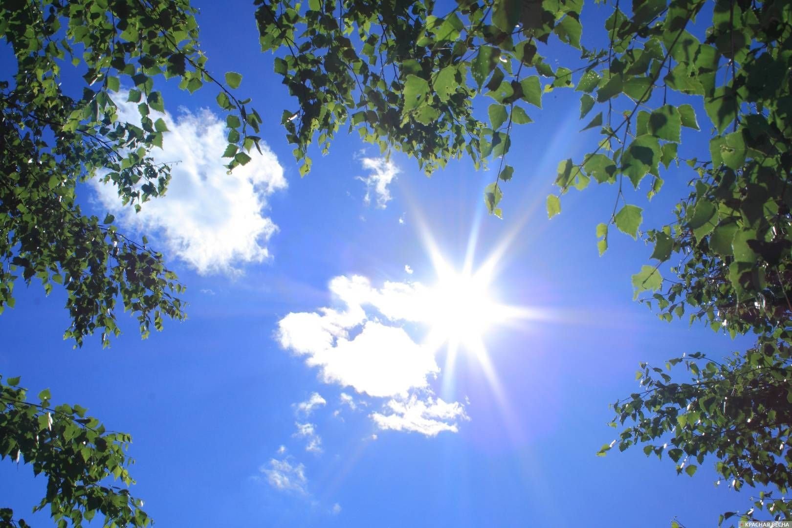 Эртага Ўзбекистонда ҳарорат 35 даражагача иссиқ бўлади