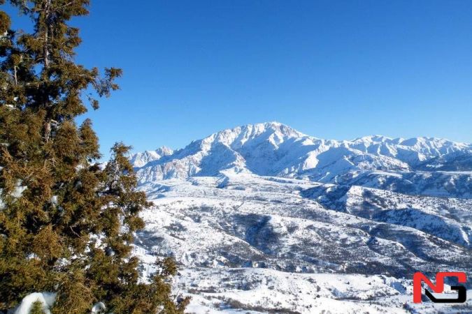 Ўзбекистонда эртага қандай об-ҳаво кузатилиши маълум қилинди