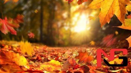 Илиқ об-ҳаво сақланиб туради — «Ўзгидромет»