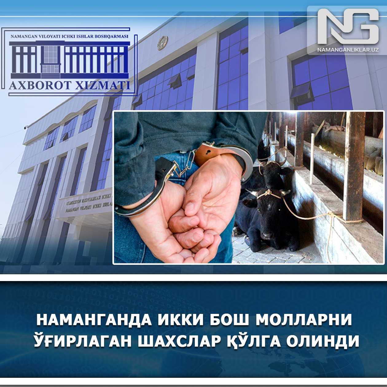 Наманганда икки бош молларни ўғирлаган шахслар қўлга олинди