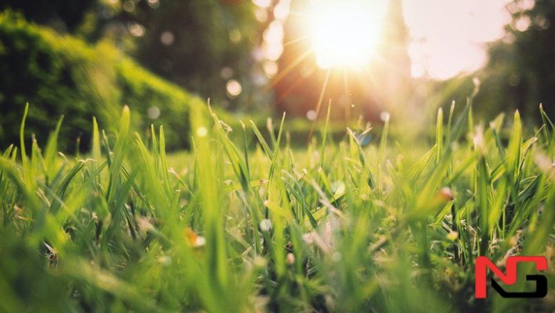 14 апрель куни кутилаётган об-ҳаво маълумоти эълон қилинди