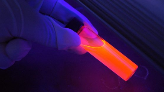 Коронавирус неча градусда батамом йўқ бўлиши маълум бўлди