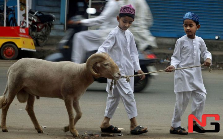 Ўзбекистонда Қурбон ҳайити 6 июнь куни нишонланади