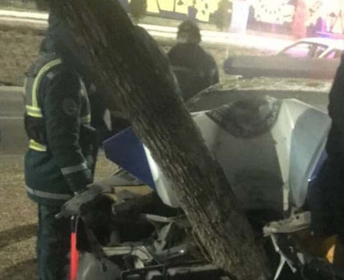 Тошкентда ЙПХ автомобили дарахтга бориб урилди