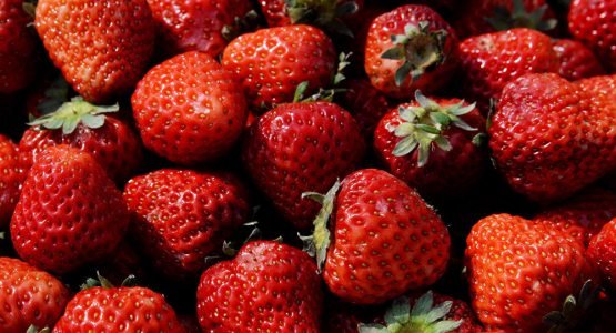 Наманган бозорларида қиш чилласида пишган қулупнай сотувга чиқарилди