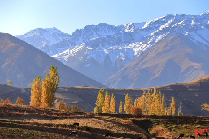 Эртага ҳаво ҳарорати иссиқроқ бўлиши кутилмоқда