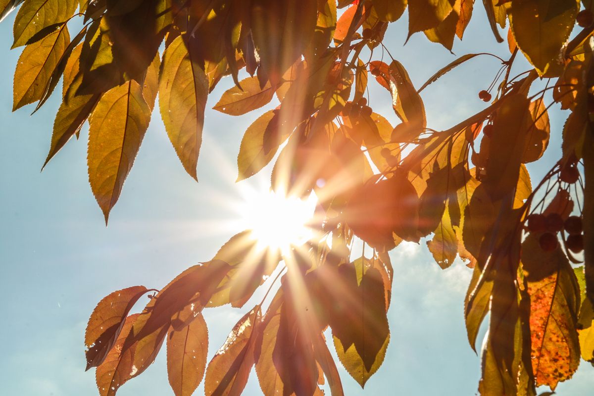 Шанба ва якшанба кунлари қандай об-ҳаво кузатилиши маълум қилинди