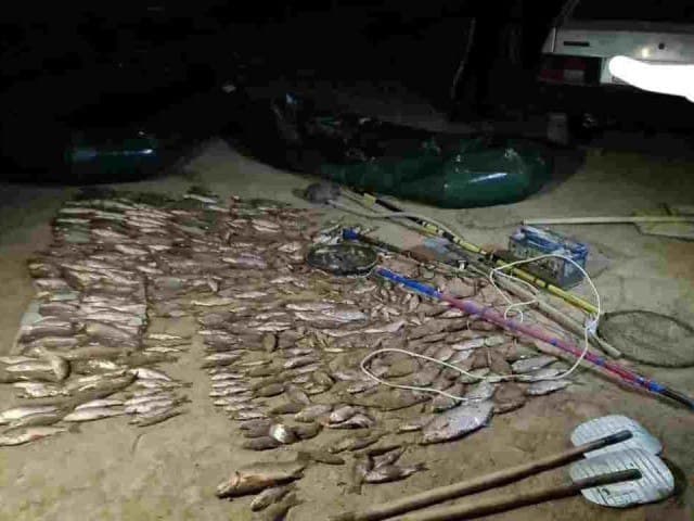 Қашқадарё электр орқали кўп миқдорда балиқ овлаган овчилар ушланди