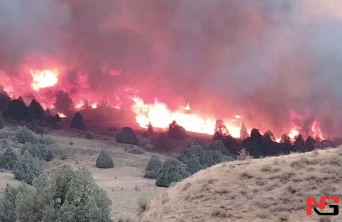 “Сурхондарёнинг “ўпкаси” ёниб кетяпти” – Шерободдаги ёнғин давом этаётгани маълум бўлди