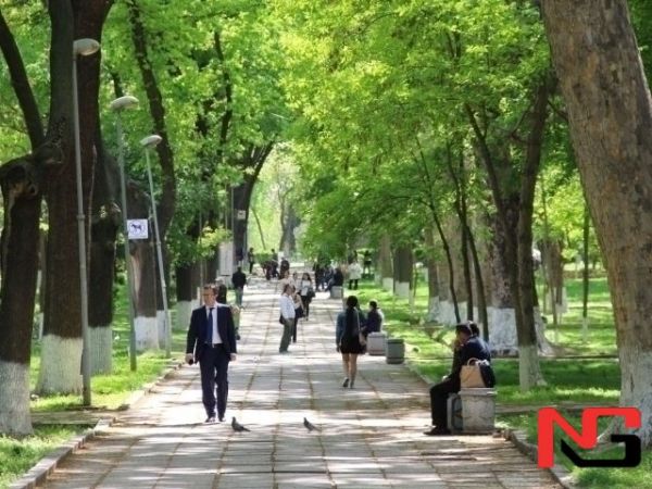 Эртага ҳаво ҳарорати бироз ўзгаради