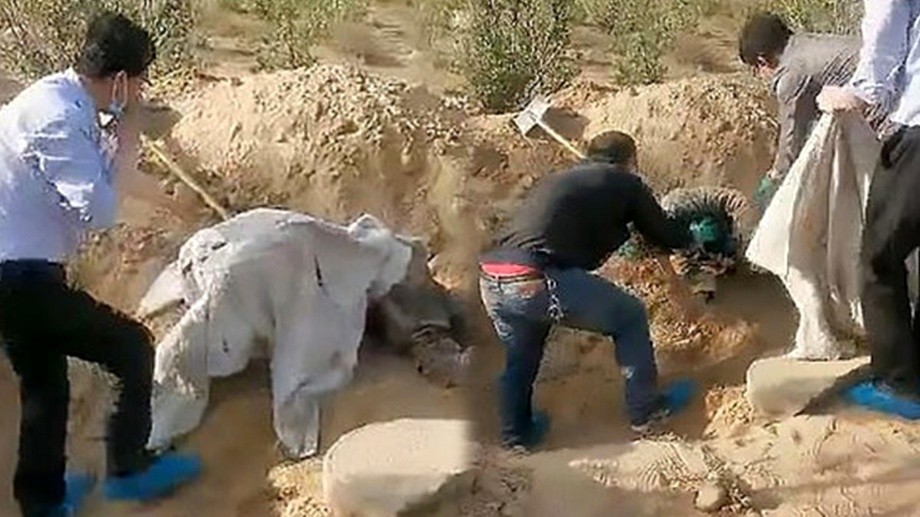 Тириклайин кўмилган кампир уч кундан сўнг қабрдан йиғлаб чиқди